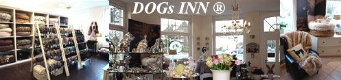 DOGs-INN-2010-Banner-mitte