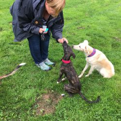 Sandra mit Kima und Catinka