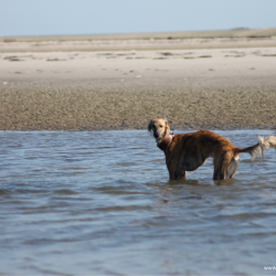 Hilfe ich stehe im Wasser